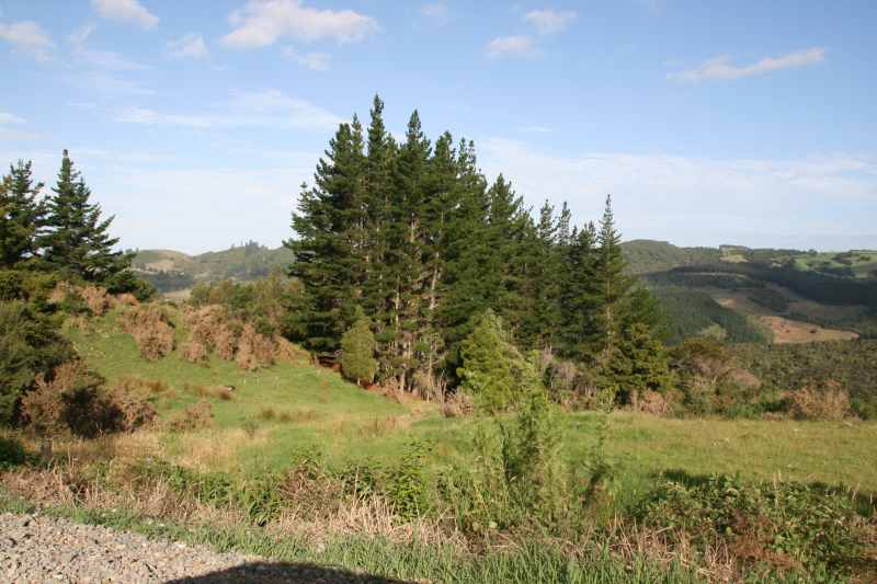 Nieuw-Zeeland 2011 - 0280